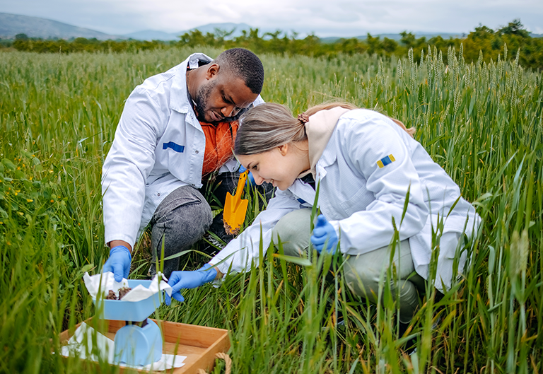 Scientists working together out in a field
