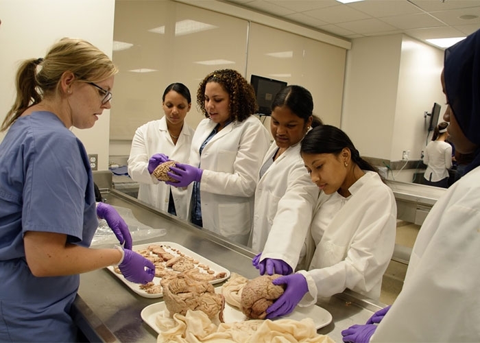 Ambar Mella in lab, holding human brain