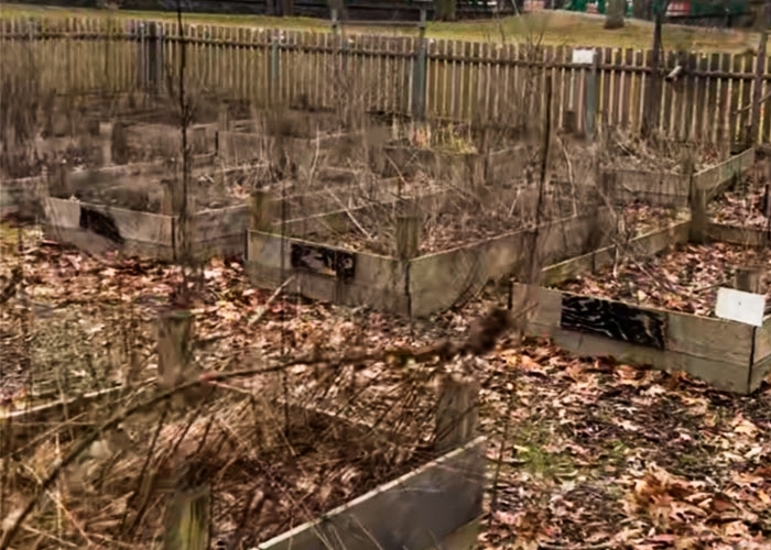 Corliss Park, raised beds left unattended