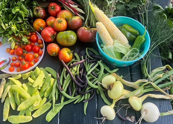 Various garden vegetables