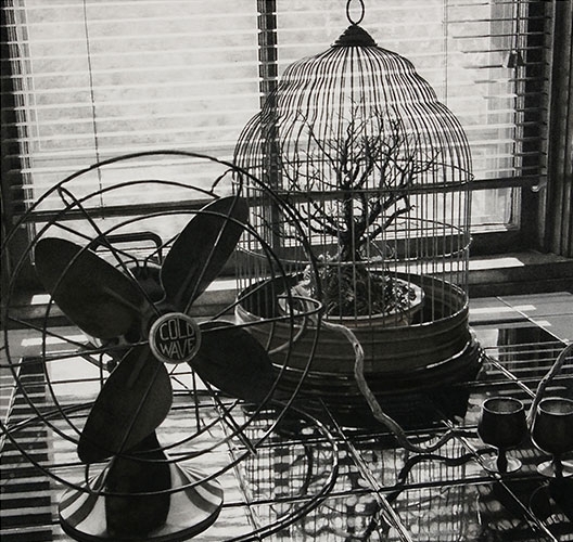 Stephen Fisher, “Incarceron,” charcoal, graphite, prismacolor and wash, 21" x 22", 2010