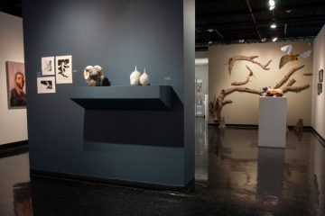 Senior Show 2019
