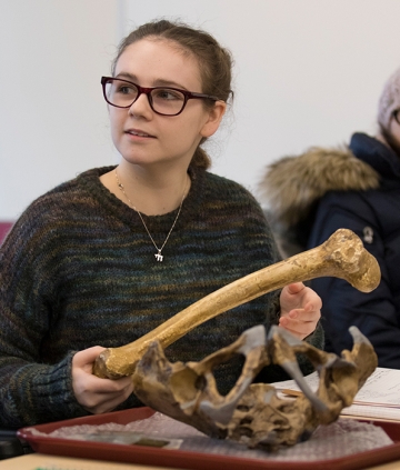 Student examining bones