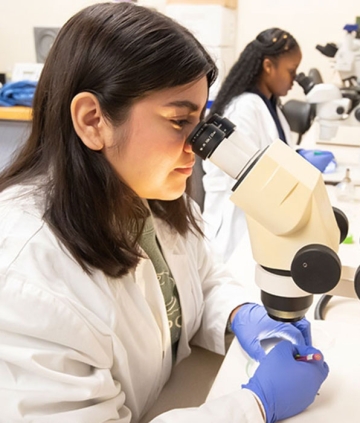 Students looking in microscopes