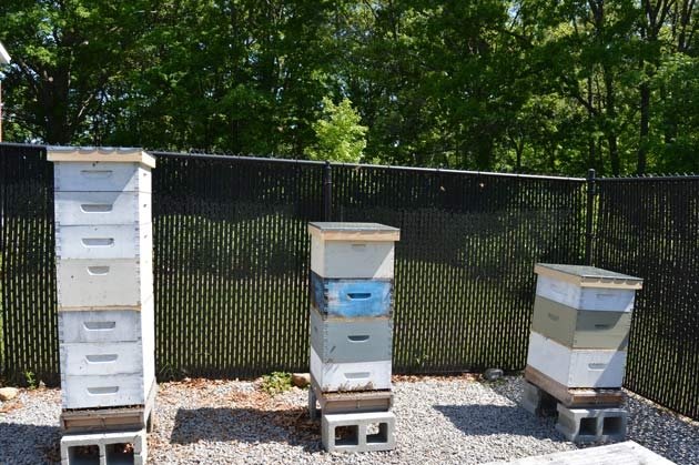 Bee Hives
