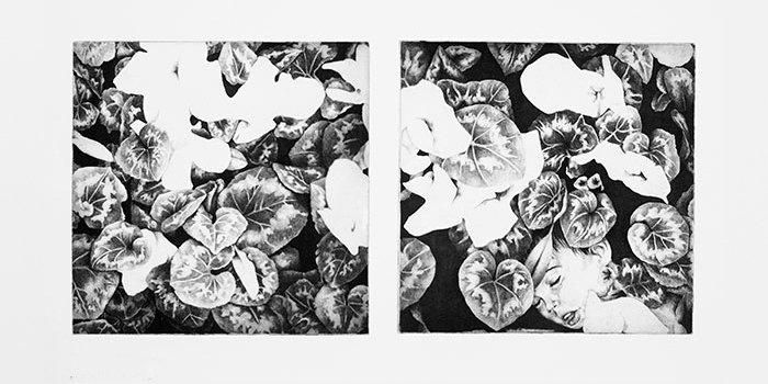 Printmaking Student Work