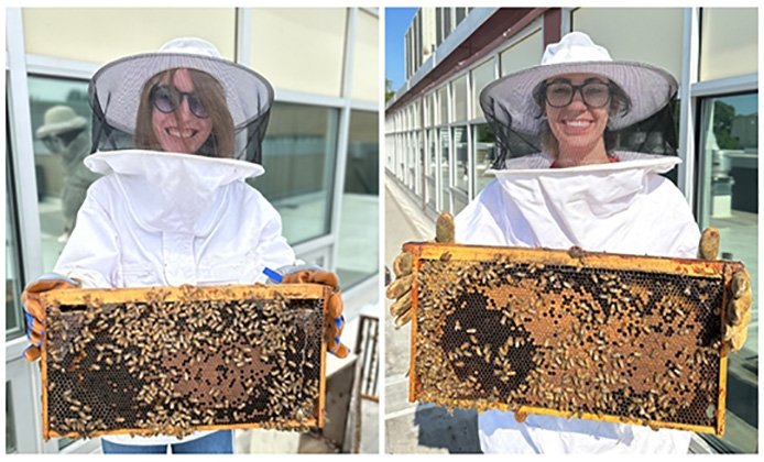 RIC students in beekeeper gear helping with the bees