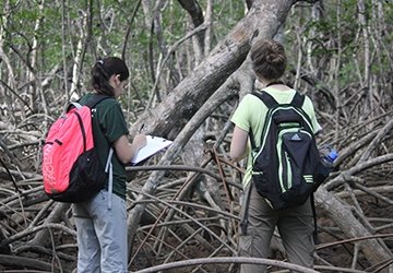 Two students taking notes in a forest, while observing trees