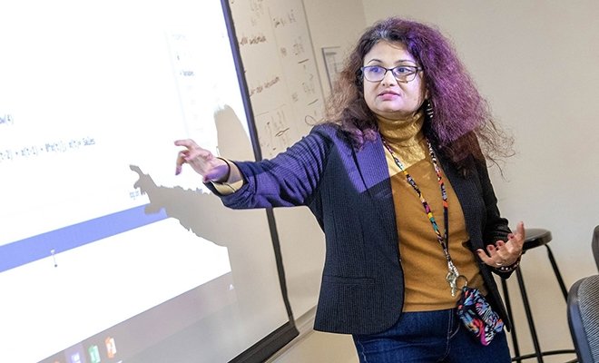 Professor teaching economics class